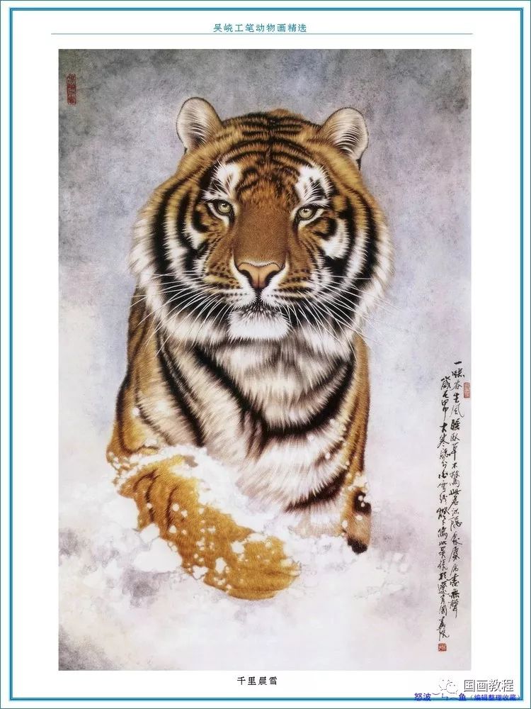 王中王动物一肖图,揭示神秘图腾与生肖文化的深度交融,王中王动物一肖图,神秘图腾与生肖文化的融合之深