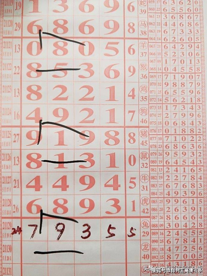 揭秘4949开奖直播,探寻最快开奖的奥秘,揭秘4949开奖直播,探寻最快开奖背后的奥秘