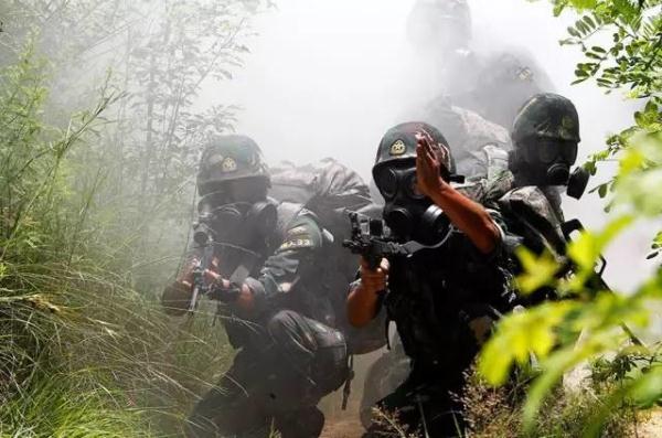 刘金沂的军衔与军旅生涯,一位铁血军人的荣耀之路,刘金沂的军旅生涯,铁血军人的荣耀之路与军衔晋升之路